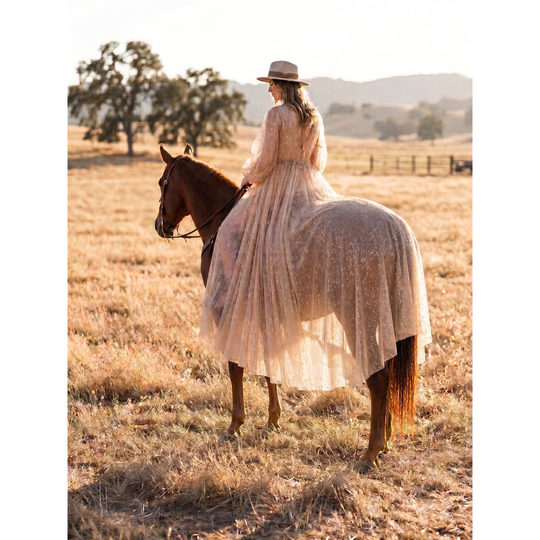 A hat-wearing woman in a sequined gown rides a brown horse in dry grass.